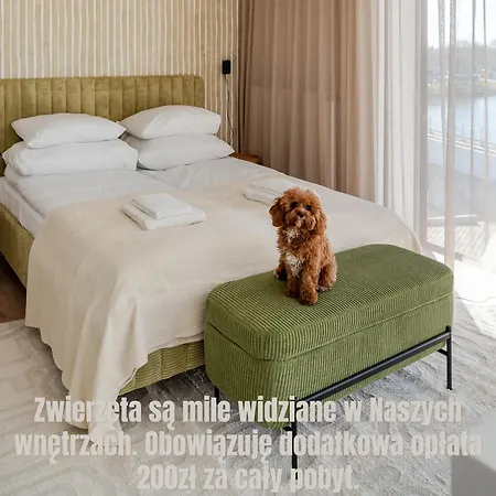 Sunset Surfingbird * Dźwirzyno