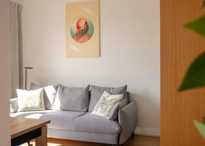 Sunset Surfingbird Dźwirzyno