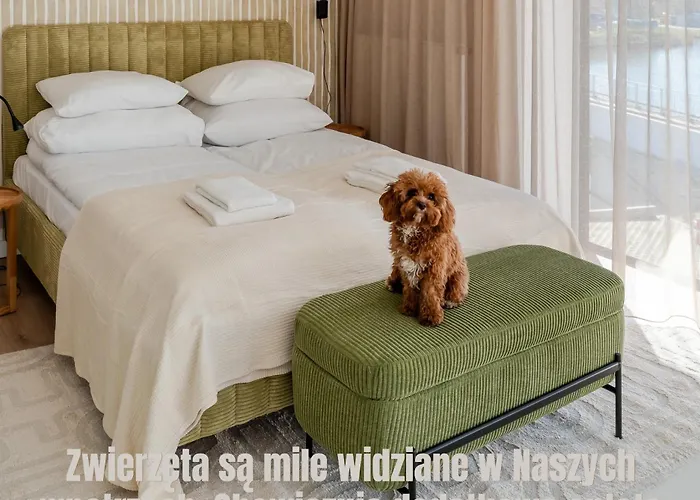 Sunset Surfingbird * Dźwirzyno